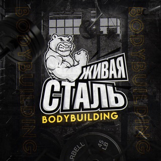 Логотип Телеграм канала Живая Сталь. PHL news. Бесплатная аналитика Telegram каналов