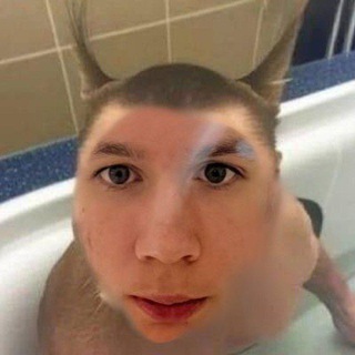 Telegram Channel logo medvedb2006. Free Telegram Channel Analytics