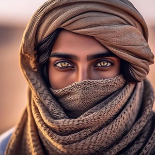 Логотип Телеграм канала . Бесплатная аналитика Telegram каналов