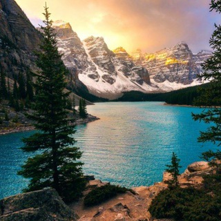 Логотип Телеграм канала lesnyestranstvia. Бесплатная аналитика Telegram каналов