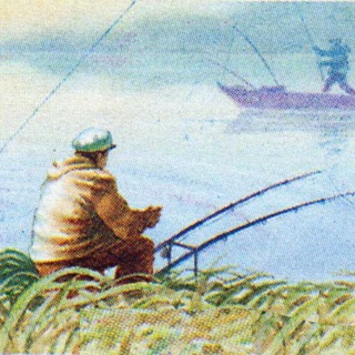 Логотип Телеграм канала fishes_43. Бесплатная аналитика Telegram каналов