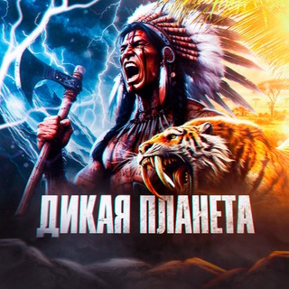 Логотип Телеграм канала +SXX5Nqlzr15jMjA6. Бесплатная аналитика Telegram каналов