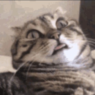 Логотип Телеграм канала . Бесплатная аналитика Telegram каналов