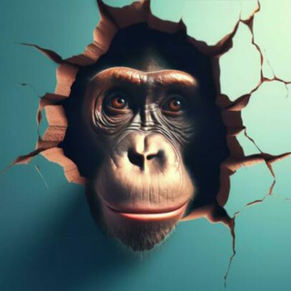 Telegram Channel logo . Free Telegram Channel Analytics