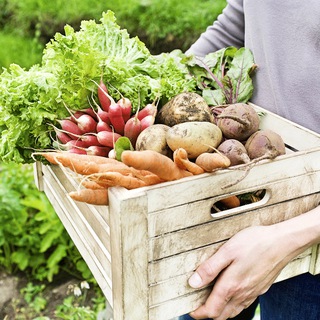 Логотип Телеграм канала dacha_garden_365. Бесплатная аналитика Telegram каналов