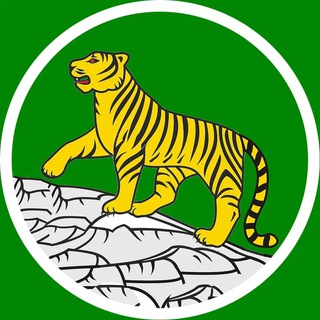 Telegram Channel logo +XQ3DfA0D0rkyZGEy. Free Telegram Channel Analytics