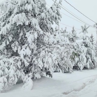 Логотип Телеграм канала Русский - فارسی. Бесплатная аналитика Telegram каналов