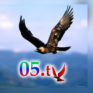 Telegram Channel logo o5_tv. Free Telegram Channel Analytics