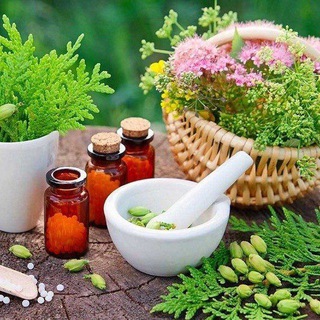 Telegram Channel logo razasalamate. Free Telegram Channel Analytics