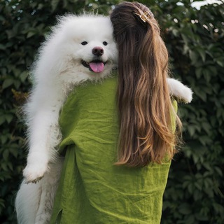 Telegram Channel logo takeakittyy. Free Telegram Channel Analytics