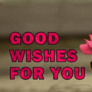 Telegram Channel logo All Good Wishes 🌼🌿. Free Telegram Channel Analytics