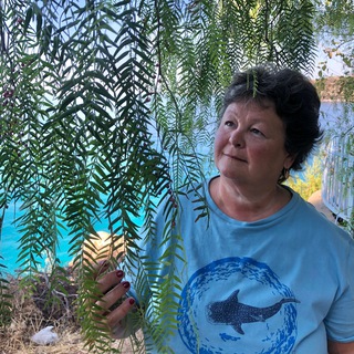 Логотип Телеграм канала . Бесплатная аналитика Telegram каналов