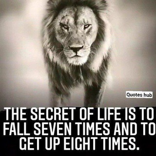 Логотип Телеграм канала Quotes Hub. Бесплатная аналитика Telegram каналов