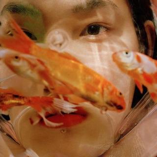 Логотип Телеграм канала . Бесплатная аналитика Telegram каналов