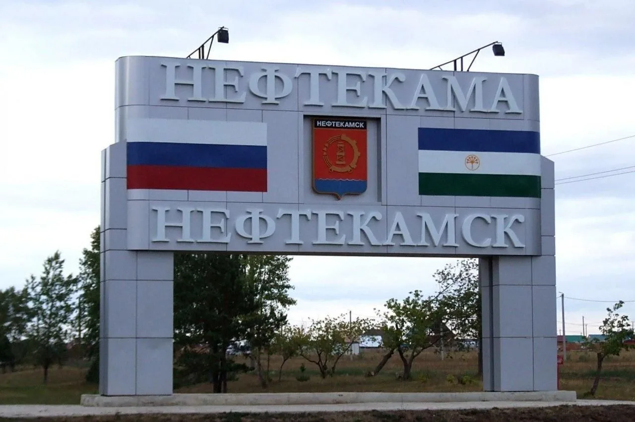 Telegram Channel logo net_nef. Free Telegram Channel Analytics