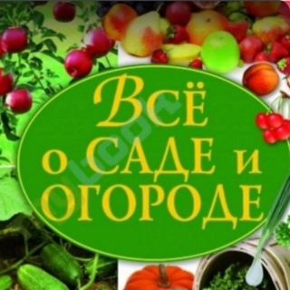 Логотип Телеграм канала caddachatuymen. Бесплатная аналитика Telegram каналов