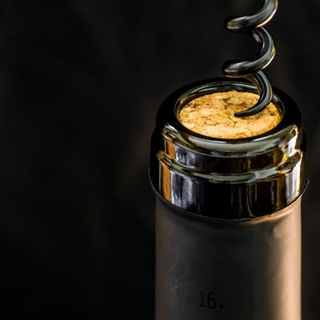 Логотип Телеграм канала Wine Talks - канал про вино. Бесплатная аналитика Telegram каналов