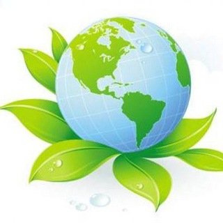 Логотип Телеграм канала . Бесплатная аналитика Telegram каналов