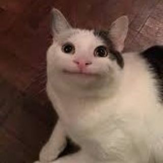 Telegram Channel logo . Free Telegram Channel Analytics