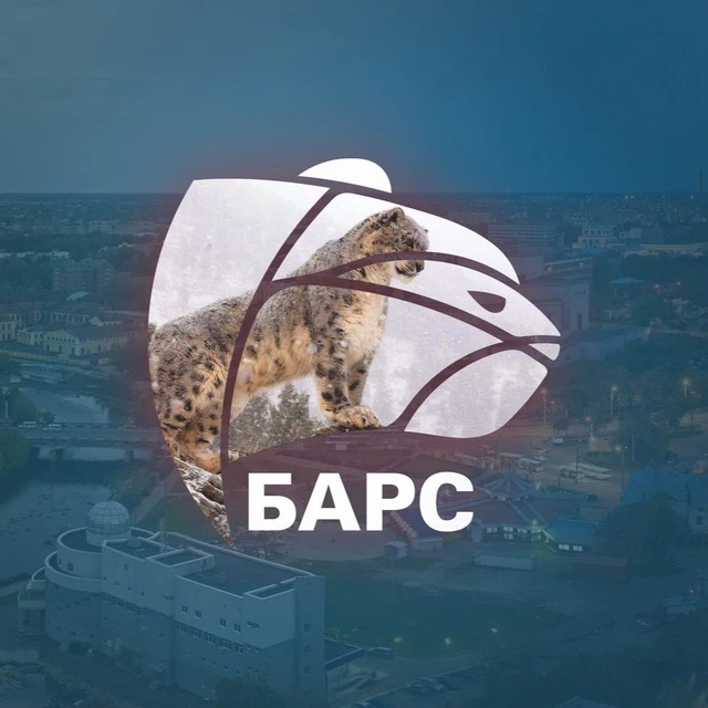 Telegram Channel logo ivanovonewsbars. Free Telegram Channel Analytics