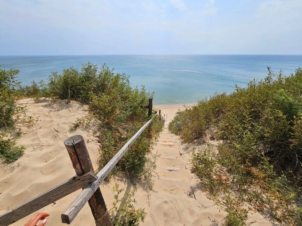 Логотип Телеграм канала moreoz. Бесплатная аналитика Telegram каналов