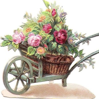 Telegram Channel logo telezka_push. Free Telegram Channel Analytics