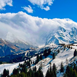 Telegram Channel logo travelsfotoD. Free Telegram Channel Analytics