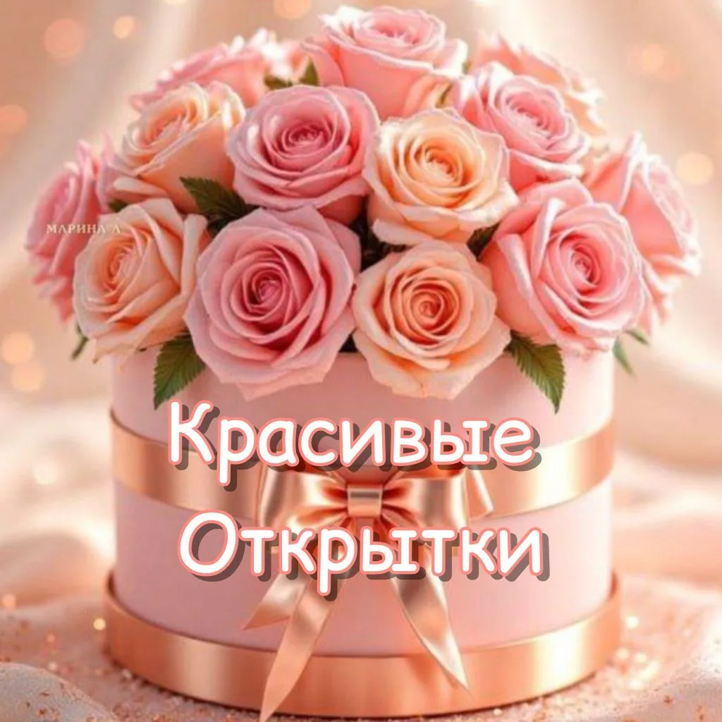 Telegram Channel logo club222128277. Free Telegram Channel Analytics