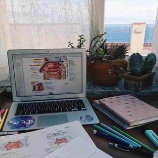 Telegram Channel logo medblognomer1. Free Telegram Channel Analytics