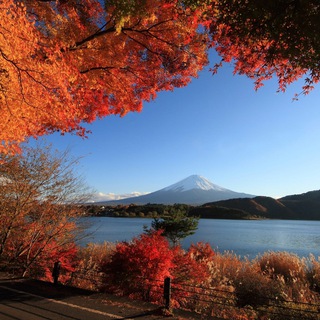 Telegram Channel logo planetaearth4. Free Telegram Channel Analytics