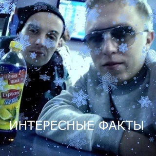 Логотип Телеграм канала Интересные факты. Бесплатная аналитика Telegram каналов