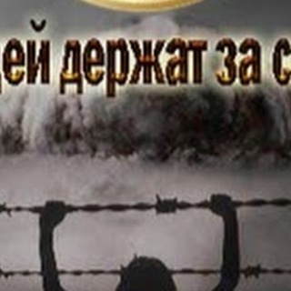 Логотип Телеграм канала . Бесплатная аналитика Telegram каналов
