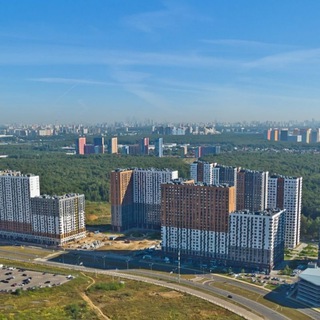 Логотип Телеграм канала pmgp10. Бесплатная аналитика Telegram каналов