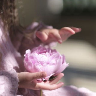 Telegram Channel logo rro_orri. Free Telegram Channel Analytics