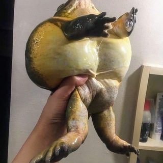 Telegram Channel logo big_poland. Free Telegram Channel Analytics