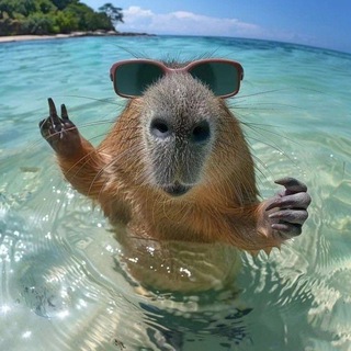 Telegram Channel logo capibarakesh. Free Telegram Channel Analytics