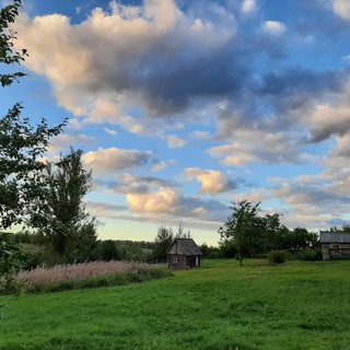 Логотип Телеграм канала . Бесплатная аналитика Telegram каналов