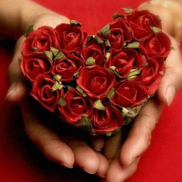 Логотип Телеграм канала 8ylfvilwcomrooegdtqx19i0zxbewyrejmhllz5nnci. Бесплатная аналитика Telegram каналов