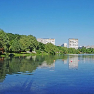 Логотип Телеграм канала ChatPerovo. Бесплатная аналитика Telegram каналов