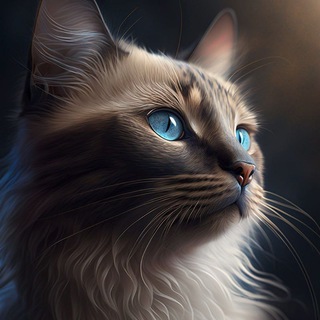 Telegram Channel logo neircat. Free Telegram Channel Analytics