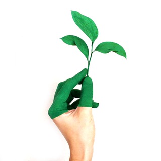 Логотип Телеграм канала green_fingerss. Бесплатная аналитика Telegram каналов