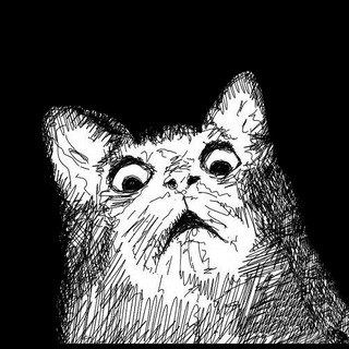 Telegram Channel logo yufashorts. Free Telegram Channel Analytics