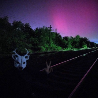 Логотип Телеграм канала belayakalitva_info. Бесплатная аналитика Telegram каналов