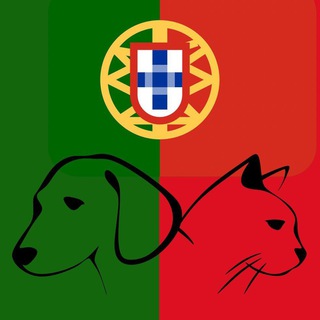 Telegram Channel logo portugal_pets. Free Telegram Channel Analytics