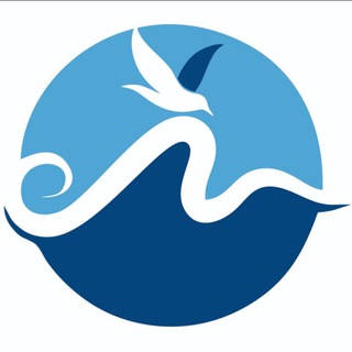 Логотип Телеграм канала . Бесплатная аналитика Telegram каналов