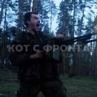 Логотип Телеграм канала . Бесплатная аналитика Telegram каналов