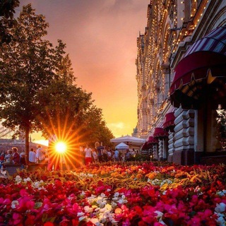 Логотип Телеграм канала moscowperv. Бесплатная аналитика Telegram каналов