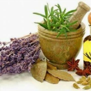 Telegram Channel logo PLANTAS MEDICINAIS. Free Telegram Channel Analytics