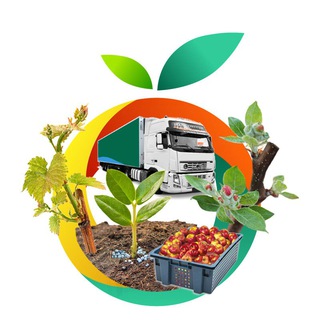Telegram Channel logo fruittechnology. Free Telegram Channel Analytics