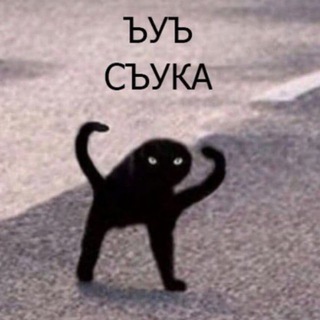 Логотип Телеграм канала . Бесплатная аналитика Telegram каналов